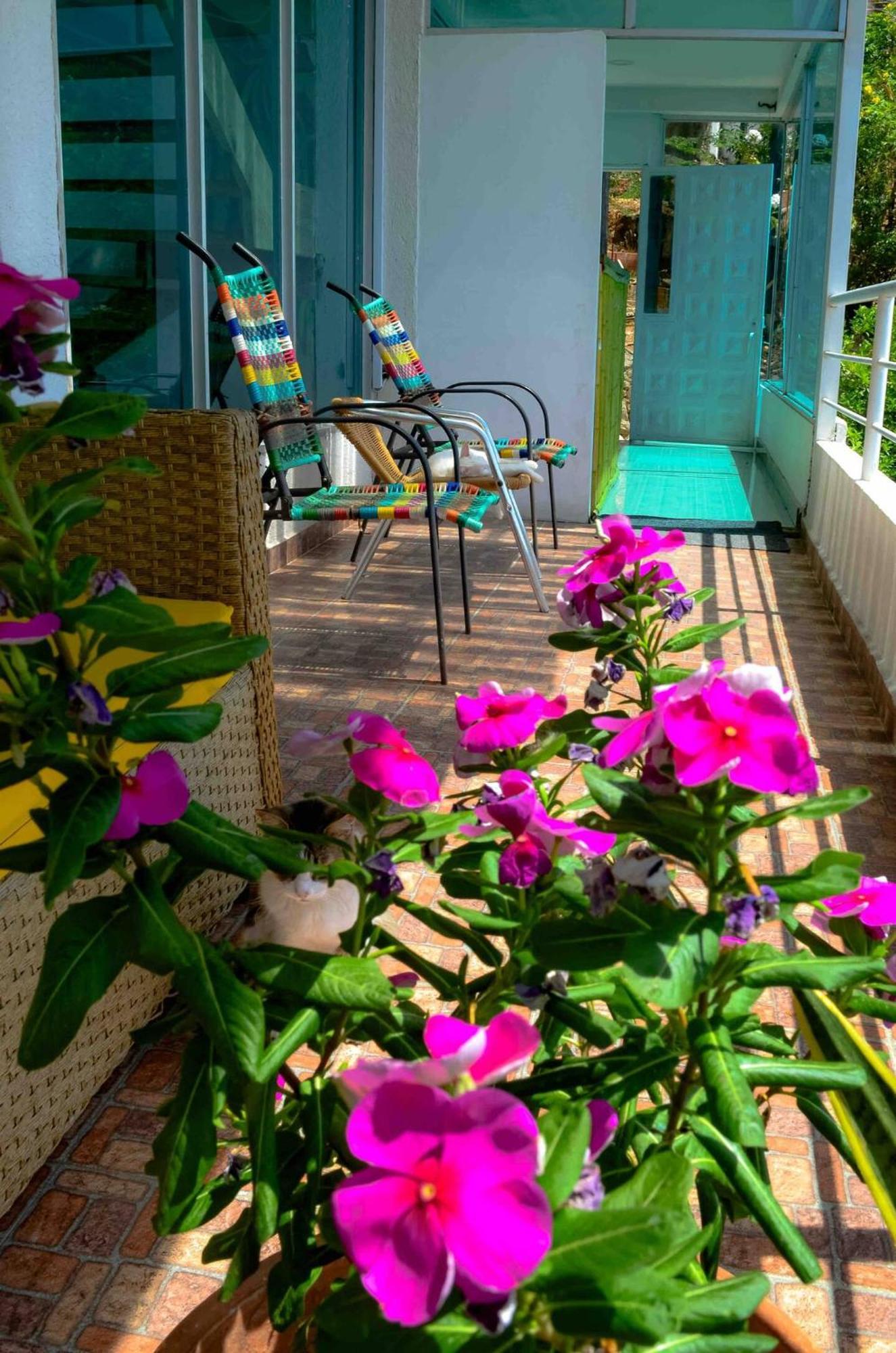 Casa Babel Taganga Hotel Santa Marta  Exterior photo